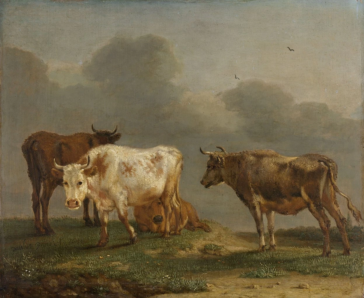 Quattro mucche nel prato - Rijksmuseum Amsterdam